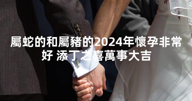 屬蛇的和屬豬的2024年懷孕非常好 添丁之喜萬事大吉